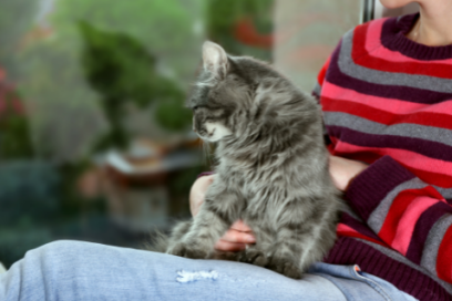 Woman sitting next to a window with a grey cat in her lap